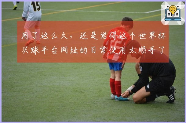 用了这么久，还是觉得这个世界杯买球平台网址的日常使用太顺手了