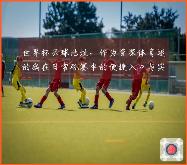 世界杯买球地址，作为资深体育迷的我在日常观赛中的便捷入口与实用指南