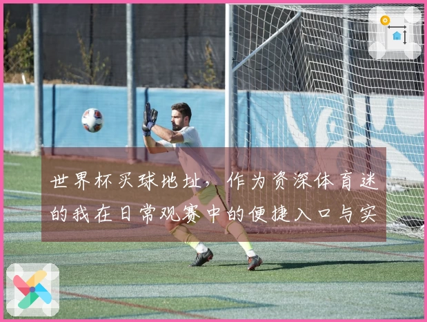 世界杯买球地址，作为资深体育迷的我在日常观赛中的便捷入口与实用指南